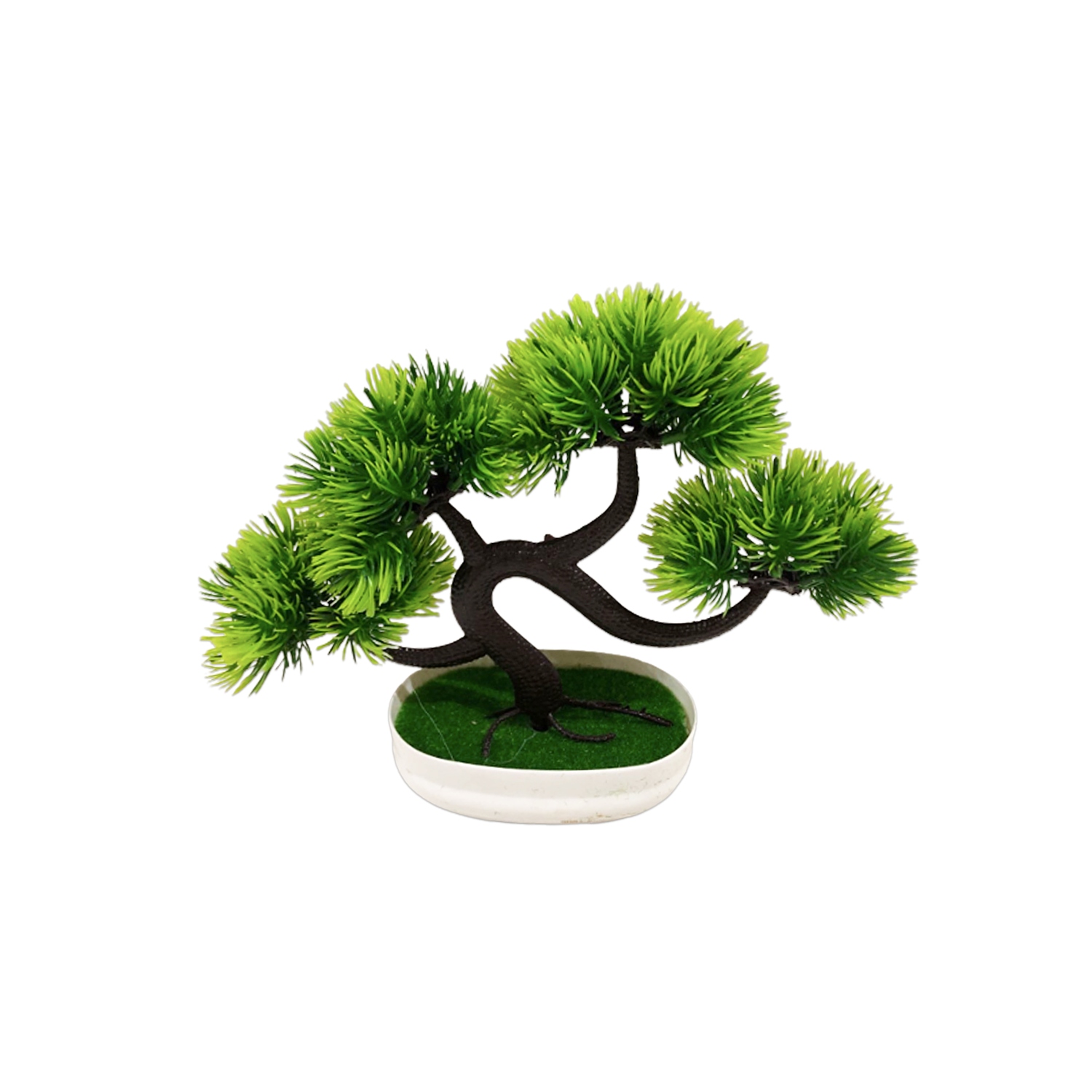 PLANTA ARTIFICIAL EN MATERA (CJX20)