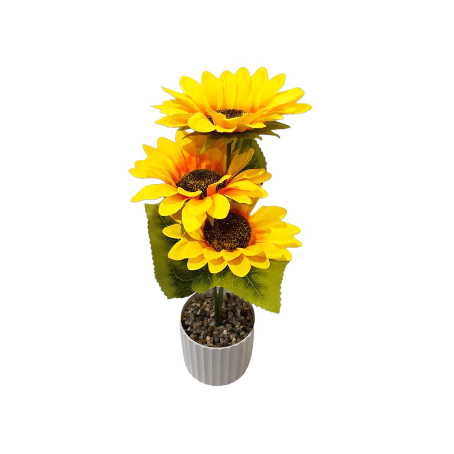 GIRASOL ARTIFICIAL EN MATERA,