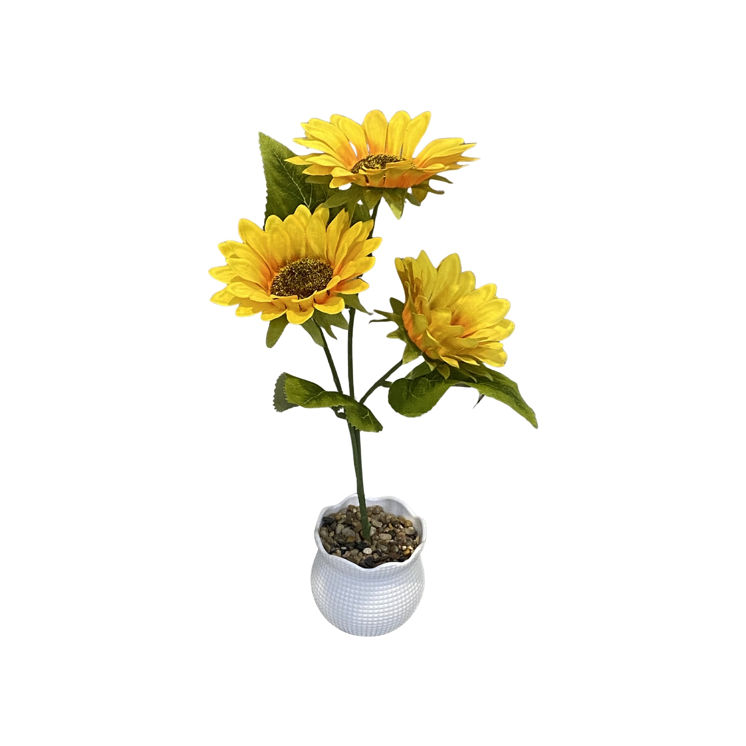 GIRASOL ARTIFICIAL EN MATERA,
