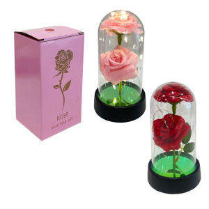 ROSAS CON LUZ ENCAPSULADAS
