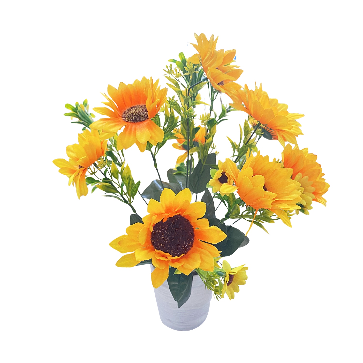 GIRASOL ARTIFICIAL EN MATERA