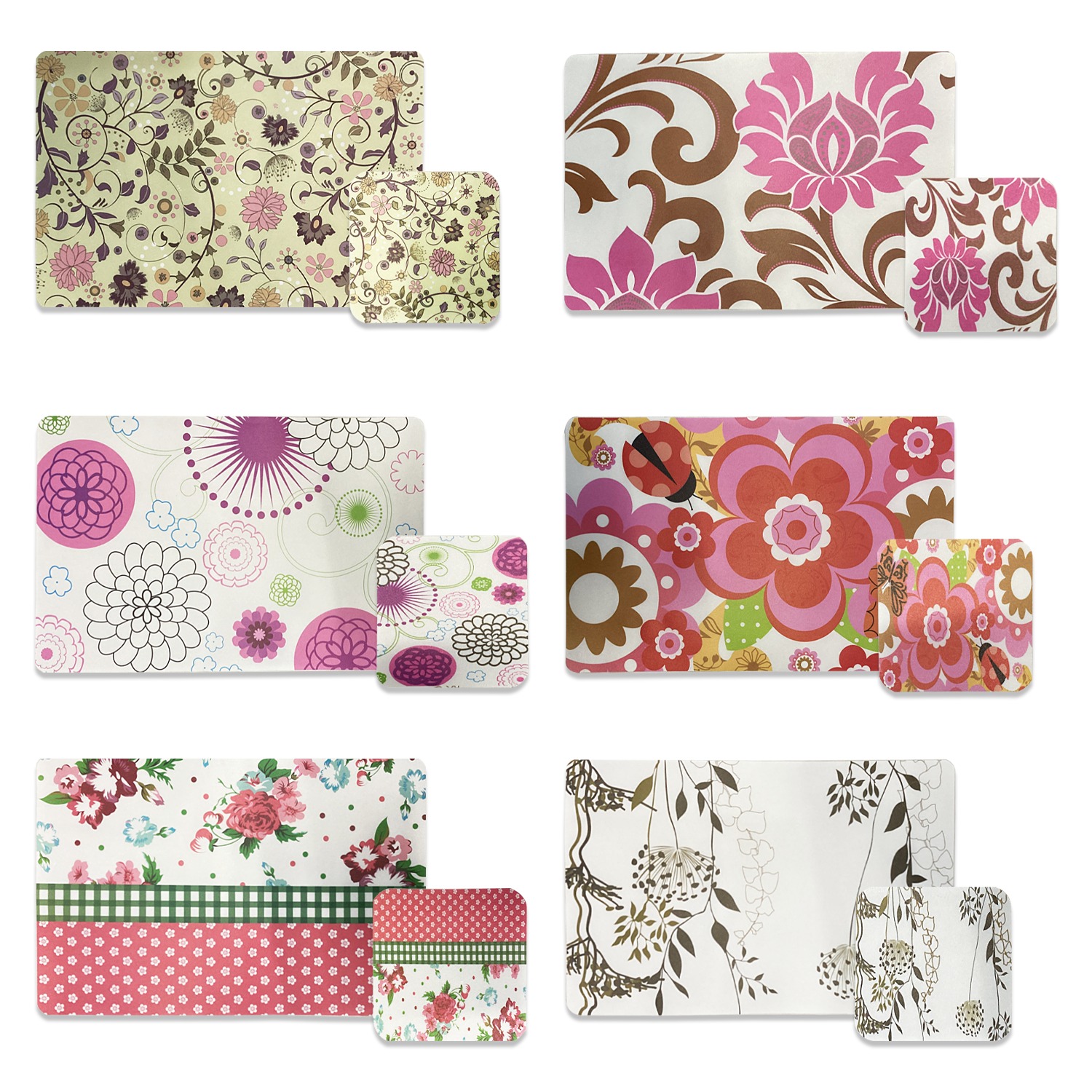 INDIVIDUAL PLASTICO SURTIDO X12