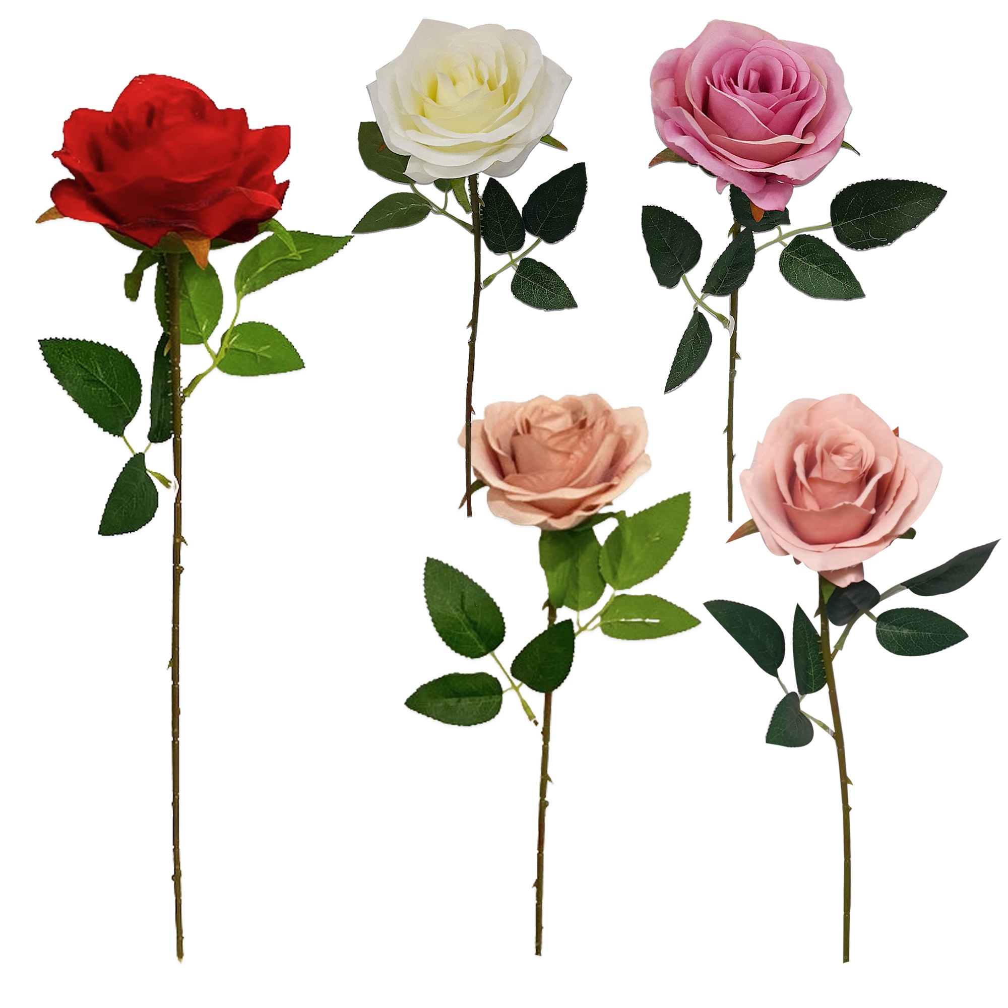 ROSA DECORATIVA SURTIDA: