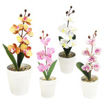 ORQUIDEA ARTIFICIAL EN MATERA