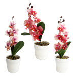 ORQUIDEA ARTIFICIAL EN MATERA