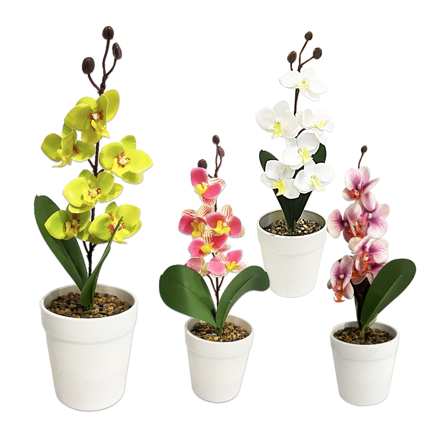 ORQUIDEA ARTIFICIAL EN MATERA