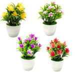 PLANTA ARTIFICIAL EN MATERA (CJX50)