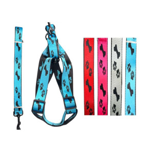 LASO COLLAR PARA MASCOTA RINPETS 2.5CM*1.2M BMR-2378