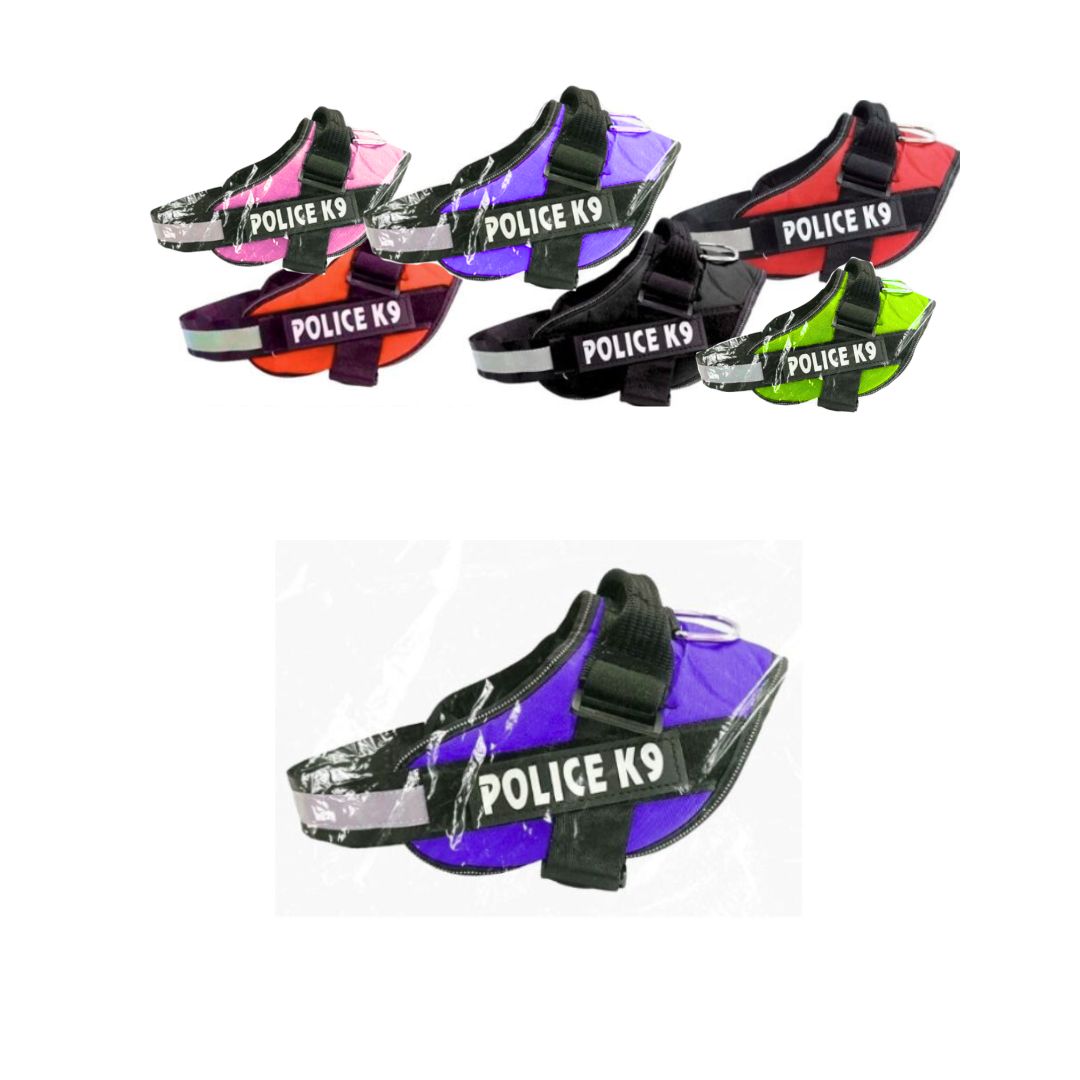 PECHERA POLICE PARA MASCOTA RINPETS TALLA S BMR-2826-2