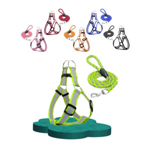 LASO PARA MASCOTA BMR-423