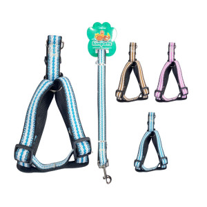 LASO COLLAR PARA MASCOTA RINPETS 2.0CM*1.2M BMR-4847