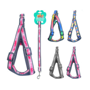 LASO COLLAR PARA MASCOTA RINPETS 1.5CM*1.2M BMR-5067