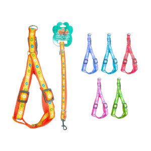 LASO COLLAR PARA MASCOTA RINPETS 1.5CM*1.2M BMR-5157