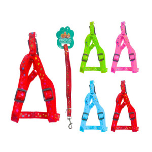 LASO COLLAR PARA MASCOTA RINPETS 1.5CM*1.2M BMR-5190