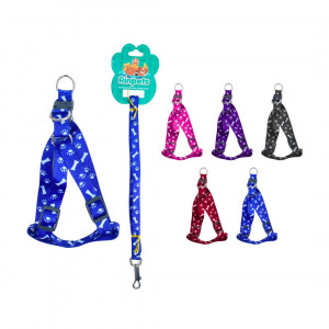 LASO COLLAR PARA MASCOTA RINPETS 1.5*1.2MT BMR-5206
