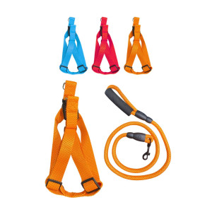 LASO COLLAR PARA MASCOTA RINPETS 2.5CM*1.2CM BMR-5216