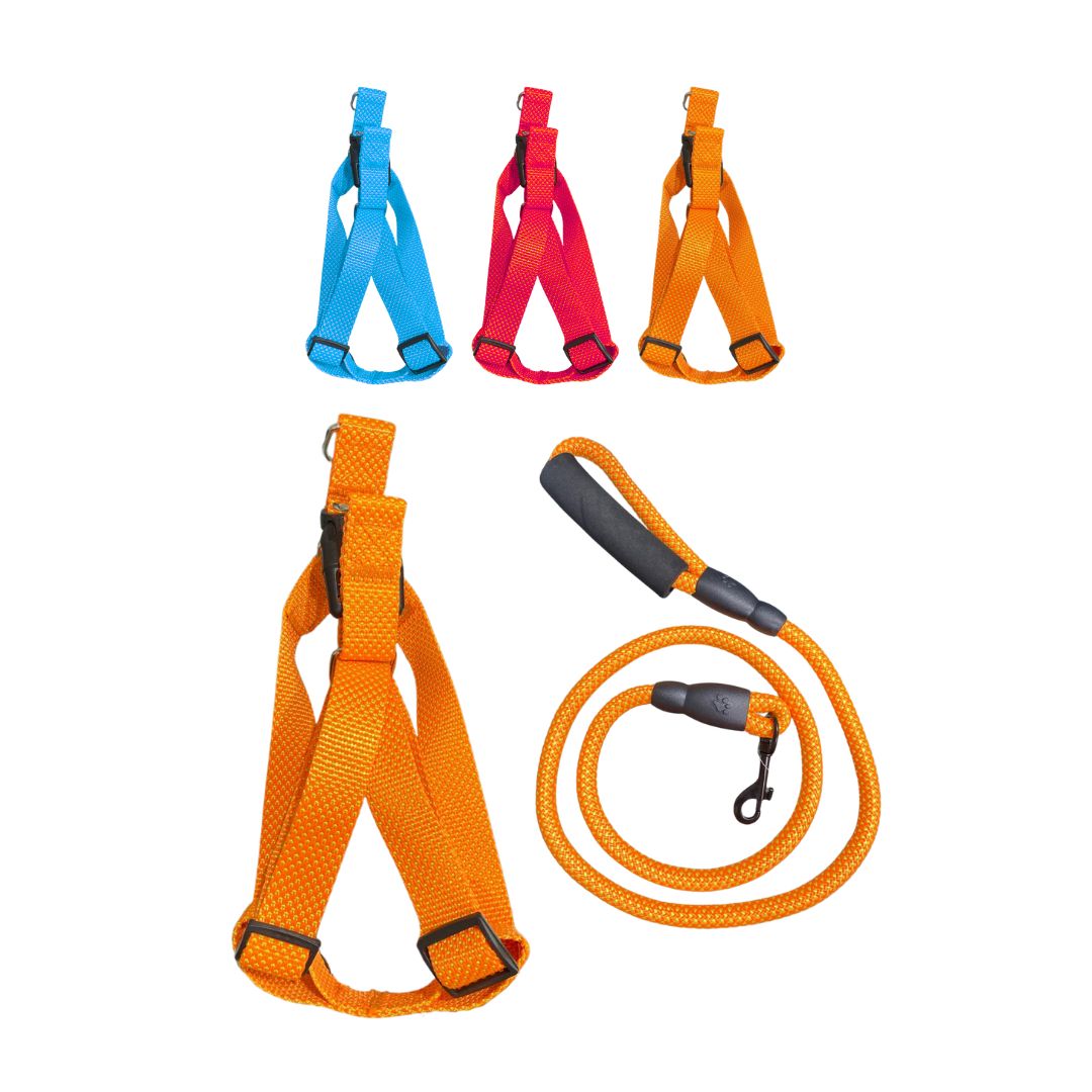 LASO COLLAR PARA MASCOTA RINPETS 2.5CM*1.2CM BMR-5216