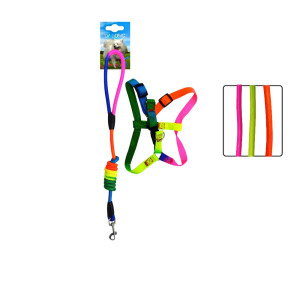LAZO PARA MASCOTA COLORES NEÓN DK-4426