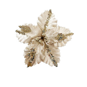 FLOR NAVIDEÑA CHAMPAÑA (BJX80)