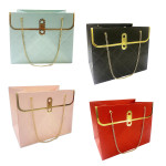 BOLSA REGALO DE LUJO (PQTX16)