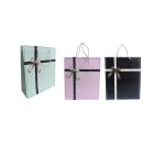 BOLSA DE REGALO MD ESTAMPADO LAZO+MOÑO DK-4481-1